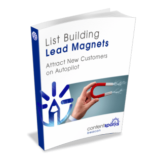 Lead Magnet 3d