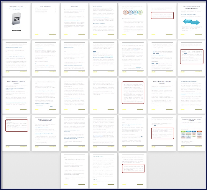 Testing Your Big Idea - Course Book