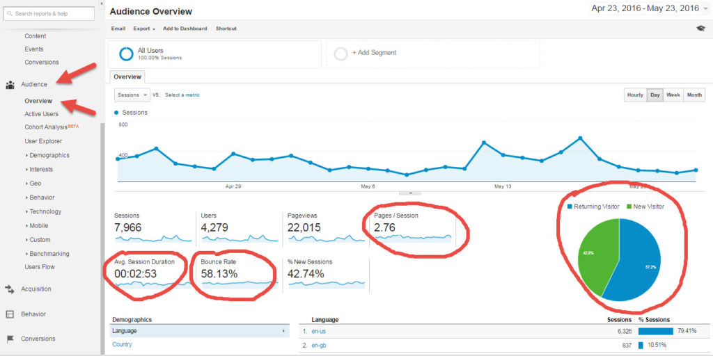 Google Analytics Audience Overview Report