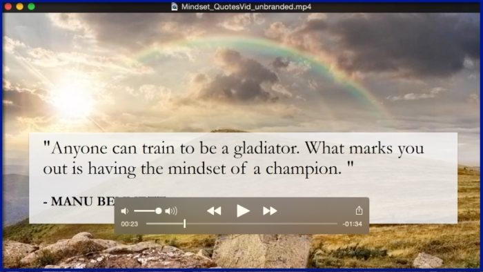 Success Mindset for Entrepreneurs - BONUS 2 - Inspirational Video