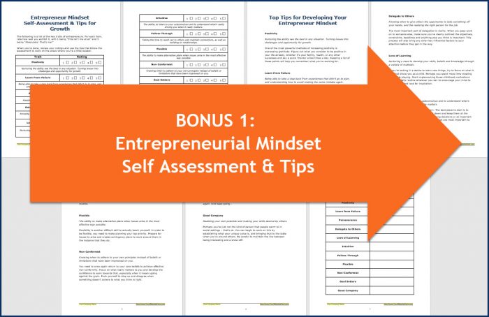 Success Mindset for Entrepreneurs - Entrepreneurial Mindset Self Assessment & Tips