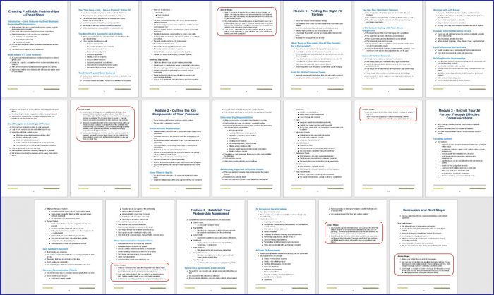 Creating Profitable Partnerships - Cheat Sheet