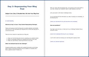 ContentRepurposing_DailyEmails2