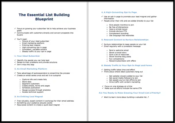 The Essential List Building Blueprint 4 The Essential List Building Blueprint - Image 4