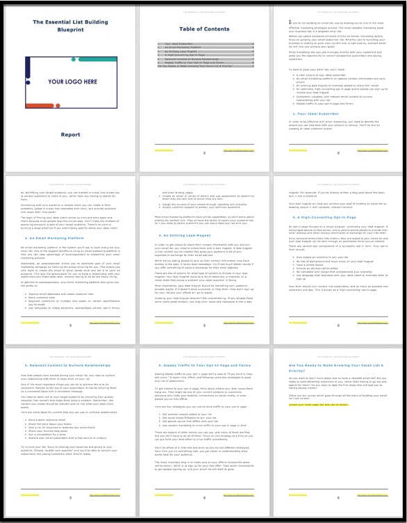 The Essential List Building Blueprint 2 The Essential List Building Blueprint - Image 2