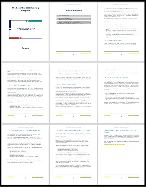The Essential List Building Blueprint 2 The Essential List Building Blueprint - Image 2