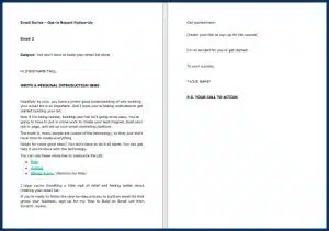 The Essential List Building Blueprint 12 How to Build an Email List from Scratch - Opt In Email 2