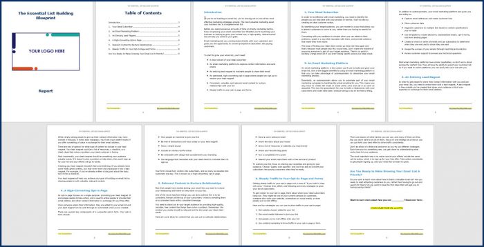 How to Build an Email List from Scratch - Opt In Report