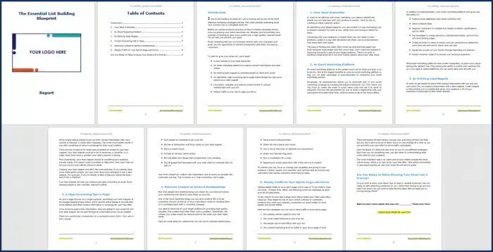 The Essential List Building Blueprint 8 How to Build an Email List from Scratch - Opt In Report
