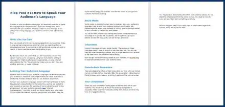 SalesPageConverts_OptInBlog1