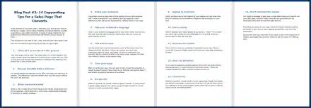 SalesPageConverts_OptInBlog2
