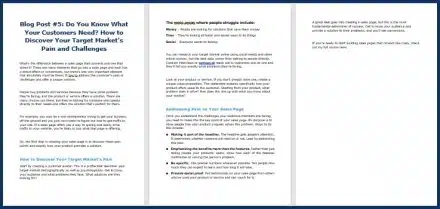 SalesPageConverts_OptInBlog5