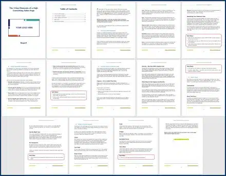 SalesPageConverts_OptInReport