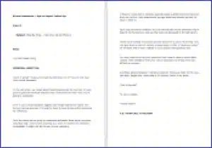 VirtualAssistant_OptInEmail3