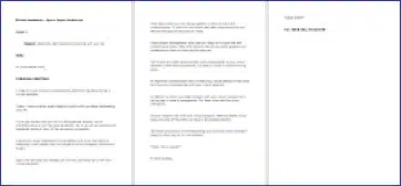 VirtualAssistant_OptInEmail4