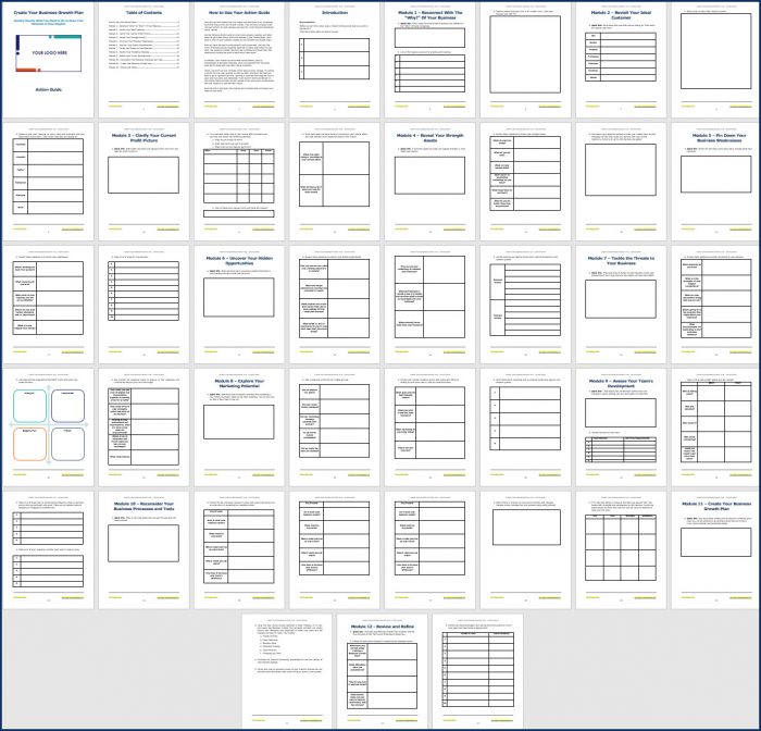 Create Your Business Growth Plan - Action Guide