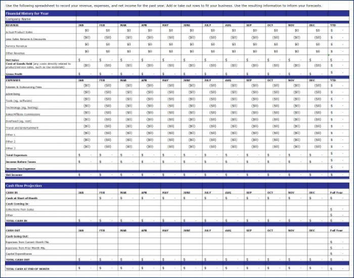 Create Your Business Growth Plan - Financial History Spreadsheet