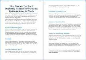 Create Your Business Growth Plan - Opt In Blog 1