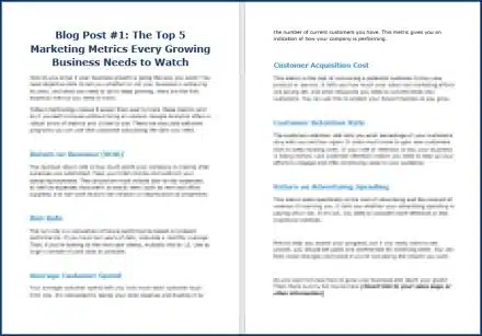 Create Your Business Growth Plan - Opt In Blog 1
