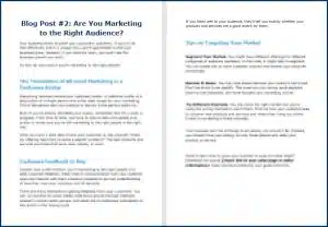 Create Your Business Growth Plan - Opt In Blog 2
