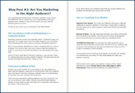 Create Your Business Growth Plan - Opt In Blog 2