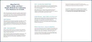 Create Your Business Growth Plan - Opt In Blog 3