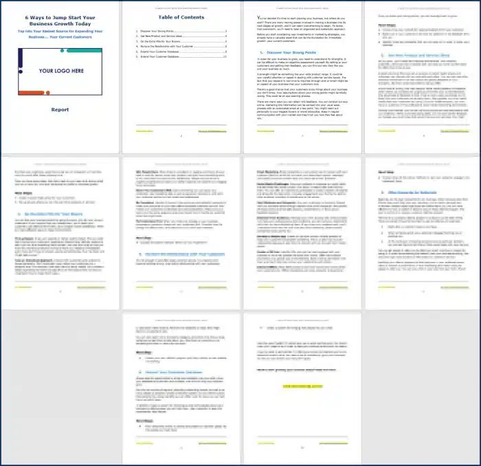 Create Your Business Growth Plan - Opt-In Report