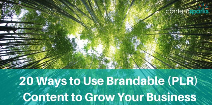 Ways to use PLR to grow your business