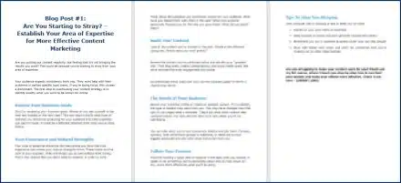 Content Management Bootcamp - Opt-In Blog 1