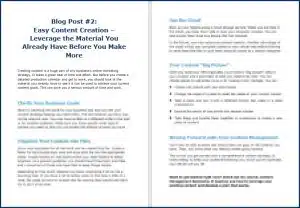 Content Management Bootcamp - Opt-In Blog 2