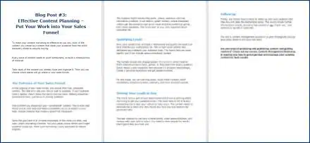 Content Management Bootcamp - Opt-In Blog 3