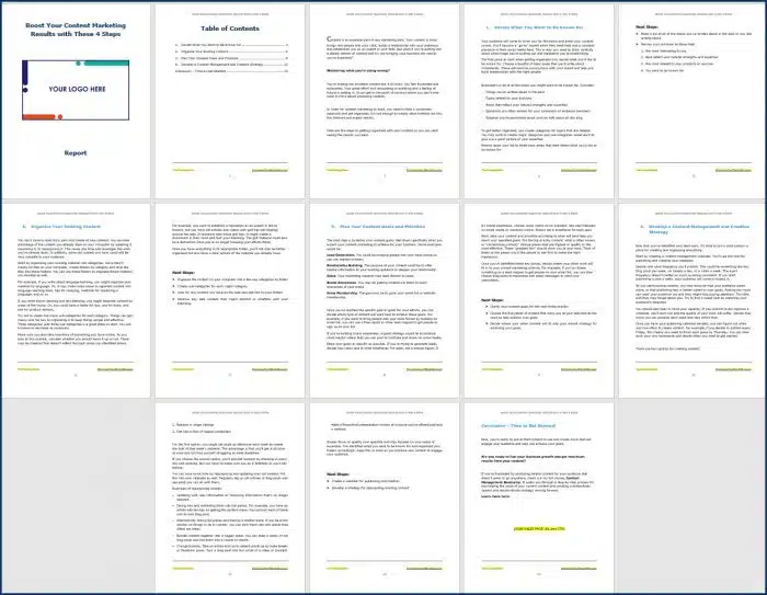 Content Management Bootcamp - Opt-In Report