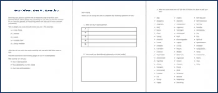 Build Your Unique Personal Brand - Beacon 14 Build Your Unique Personal Brand - How Others See Me Exercise