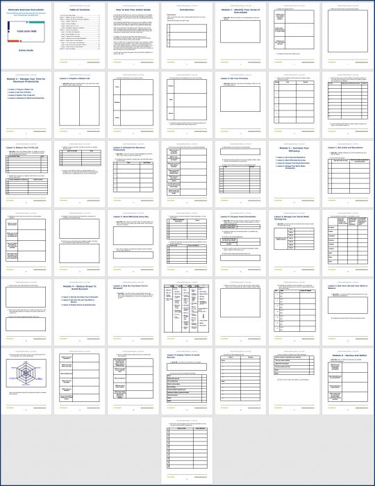 Eliminate Business Overwhelm - Action Guide