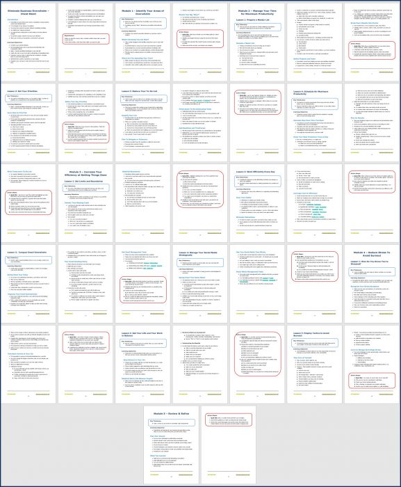 Eliminate Business Overwhelm - Cheat Sheet
