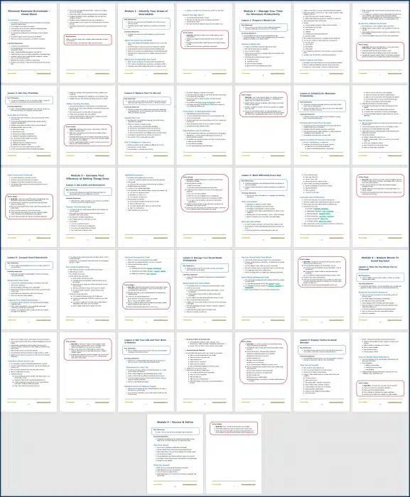 Eliminate Business Overwhelm - Cheat Sheet