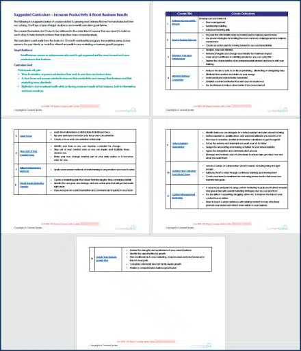 Eliminate Business Overwhelm - Curriculum
