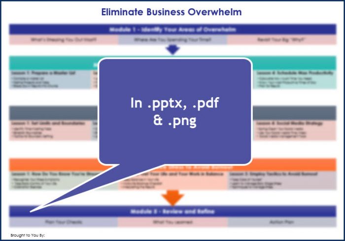 Eliminate Business Overwhelm - Overview Infographic