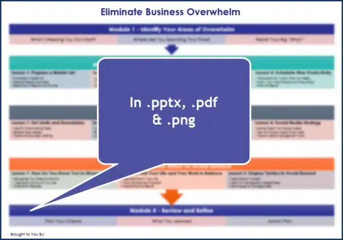 Eliminate Business Overwhelm - Overview Infographic