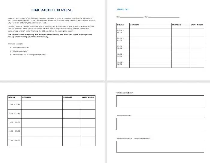 Eliminate Business Overwhelm - TimeAudit