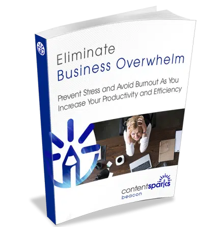 Eliminate Business Overwhelm - Beacon Package