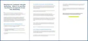 Customer Lifecycle Marketing - Opt In Blog 1