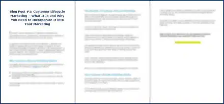 Customer Lifecycle Marketing - Opt In Blog 1