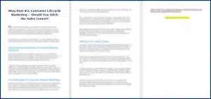 Customer Lifecycle Marketing - Opt In Blog 2