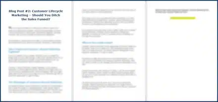 Customer Lifecycle Marketing - Opt In Blog 2