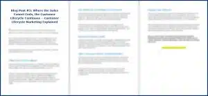 Customer Lifecycle Marketing - Opt In Blog 3