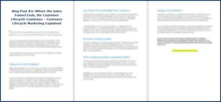 Customer Lifecycle Marketing - Opt In Blog 3