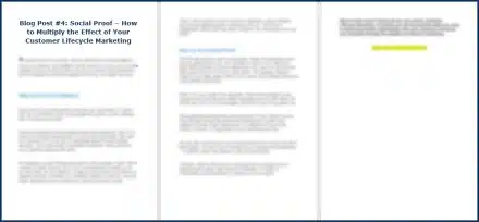 Customer Lifecycle Marketing - Opt In Blog 4