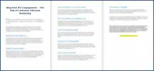 Customer Lifecycle Marketing - Opt In Blog 5