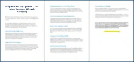Customer Lifecycle Marketing - Opt In Blog 5